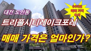 대전 도안동 트리풀시티레이크포레 매매 가격은 얼마인가? + 84타입 매매 가격 추세 + 월별 매매 건수 + 대전 아파트 + 대전 부동산