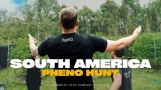 The World’s FIRST Country to LEGALIZE | Uruguay Pheno Hunt