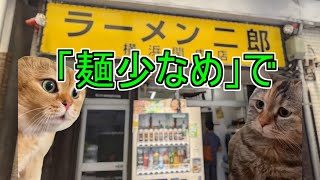 ラーメン二郎で「麺少なめ」を選択した男の末路 #猫ミーム #猫マニ #二郎