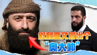 烫嘴英文版来啦！洛杉矶八百里，曾是加州富饶地，一朝火患凭空起