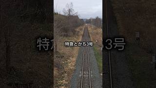 特急とかち3号ー十勝清水町 #shorts #jr北海道 #キハ261系 #鉄道