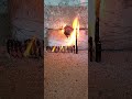 matchstick amazing experiment 😱 diwali crackers reaction shorts