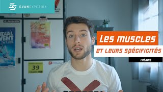 LES MUSCLES ET LEURS SPECIFICITES