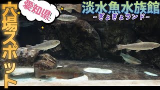 【淡水魚水族館】愛知県の穴場スポット？！～アクアリウムのお勉強♪～/豊川市ぎょぎょランド