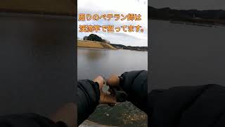 【高滝湖】ちょい投げでワカサギ釣り#shorts