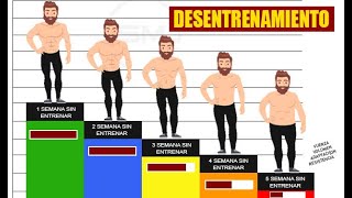 Desentrenamiento esto es lo que le pasa a tu cuerpo cuando dejas de Entrenar.