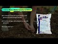 best fertilizer for sweet potatoes the best organic fertilizers