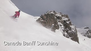 🇨🇦 2020 캐나다 스키여행 밴프 빅3 선샤인 스키장 I 로키, Canada, Banff, Sunshine