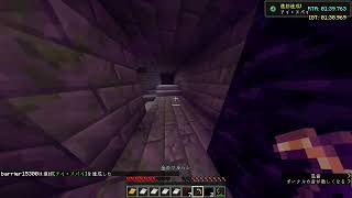 【Minecraft RTA】ベッド爆破慣れてきた