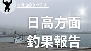 日高方面　6月の釣果報告