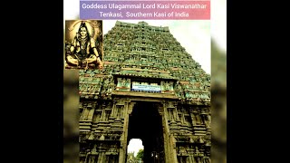 Goddess Ulagammal Lord Kasi Viswanathar Temple Tenkasi, Southern Kasi of India