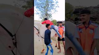 kabutar mare gulel se baj nahin marte #Horse #lover #kids  New Song 2023