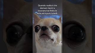 Rientro al lavoro #perte #memeitaliani #funnymemes #memes #memeita #neiperte