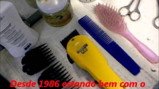 O CURSO DE CABELEIREIRO PARTE 1