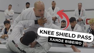 The BEST Way To Pass The Knee Shield | Xande Ribeiro