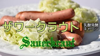 ザワークラウトを作る～キャベツの乳酸発酵