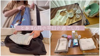 【育休中vlog】6月のとある平日の過ごし方/カラーカット/カフェ/家事/日常