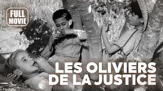 🎥️ Drama Movie: Les oliviers de la justice (1962) French Full Movie | Watch Boldly!