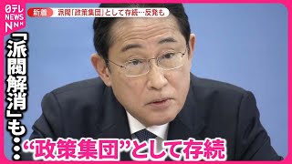 【岸田首相】「派閥解消する」も…“政策集団”として存続  党内から反発の声も