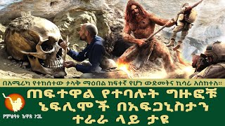 ጠፍተዋል የተባሉት ግዙፎቹ ኔፍሊሞች በአፍጋኒስታን ተራራ ላይ ታዩ ተባለ።