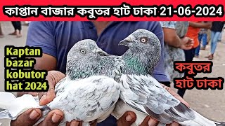 21/06/2024 কাপ্তান বাজার কবুতর হাট ঢাকা। Kaptan bazar kobutor hat. kaptan bazar pigeon market Dhaka.