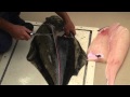 How to fillet a halibut