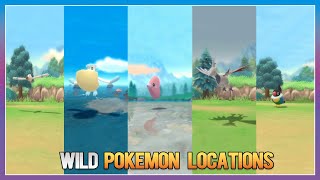 Pokémon BDSP - Wingull,Pelipper,Luvdisc,Skarmory \u0026 Chatot Locations