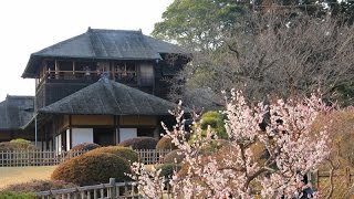 2016水戸偕楽園　観梅散歩 3月4日