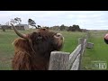 meet glenn richards the greenkeeper at australia s oldest golf course