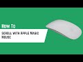 How to scroll with Apple Magic Mouse (In One Minute)