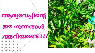 ആര്യവേപ്പിന്റെ ഈ ഗുണങ്ങൾ അറിയാമോ? /know the benefits of Neem#malayalam #itsmemini #neem benefits