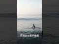 坐板轉向 怎麼在衝浪板上轉方向 衝浪教學 衝浪新手 衝浪