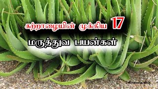 Aloe vera usage in Tamil | சோற்றுக் கற்றாழையின் முக்கிய 17 மருத்துவ பயன்கள்