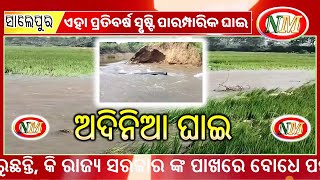 ସୃଷ୍ଟି ହୋଇଛି ଅଦିନିଆ ଘାଇ | Over 30 feet ghai in the canal | #ghai #canal #farmland  #submerged #flood