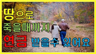 노후연금 / 노후자금 / 노후생활 / 농지연금 최신정리!