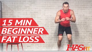 15 Min Fat Burning Workout for Beginners Workout Routine - Beginner Workouts for Fat Loss