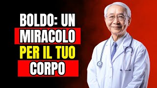 Boldo: Scopri i Benefici Miracolosi di Questa Pianta per la Digestione