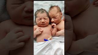 Cutest Twin Newborn Babies Lovely Moments of First Cry @AfterBirth