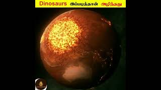 🦖 Dinosaurs உண்மையில் எப்படி அழிந்தது தெரியுமா ⁉️ | கடைசி வர பாருங்க #shorts