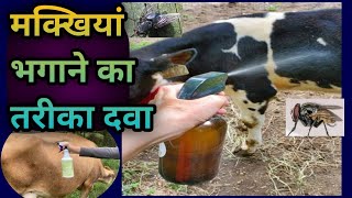 मक्खियां भगाने का आसान तरीका||मक्खियां भगाने की दवा||Fly removel medicine