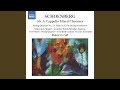 Schein uns, du liebe Sonne (Shine on Us, Dear Sun) (arr. A. Schoenberg)