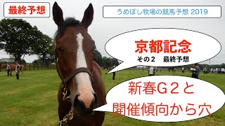 【京都記念】競馬予想 2019 最終予想 ～新春G2と今の馬場傾向から推す穴馬～