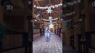 SSO edit | Christmas Shopping Spree horses reveal 🎄🎁 #starstable #sso *not my sound*