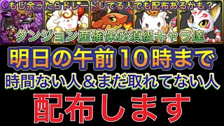 【配布します】正月ダンジョンの確保級キャラ達をまだ持ってない人＆欲しい人は必見！配布するにあたって条件はありますが簡単なので誰でも参加できます！キャラが余ったら前のした人にも配布あるかも？【パズドラ】