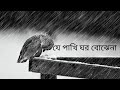 je pakhi ghor bojhena - lyrics | যে পাখি ঘর বােঝেনা -Soft Lyrics | Sudhu Tomar Jonno| Dhruba |
