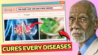 WHY This Leaf Can CURE EVERY DISEASE Known To Man | Dr. Sebi’s MIND-BLOWING SECRET 💖