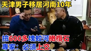 天津男子移居河南10年，撿600多塊蛟河橄欖石，專家：必須上交!【奇趣軼譚】#鑒寶#古玩#奇聞#銀元#寶物#賞寶#奇聞#事件#熱點#聽村長說官方頻道#人間易拉罐#seeker牛探長#談笑娛生#叉雞