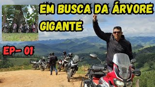 PASSEIO DE MOTO OFF ROAD 2025 - Em busca da árvore gigante - EP 01