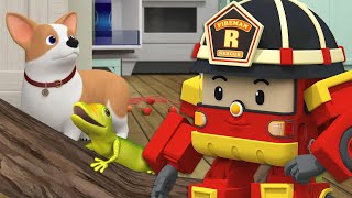 Seri Keselamatan Pet│Seri Keselamatan Kebakaran🚒│Robocar POLI TV Bahasa Indonesia