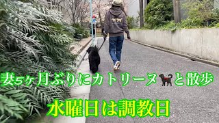 【ゴル飲み今夜は調教話とママ5ヶ月ぶりにカトリーヌ🐕‍🦺散歩】